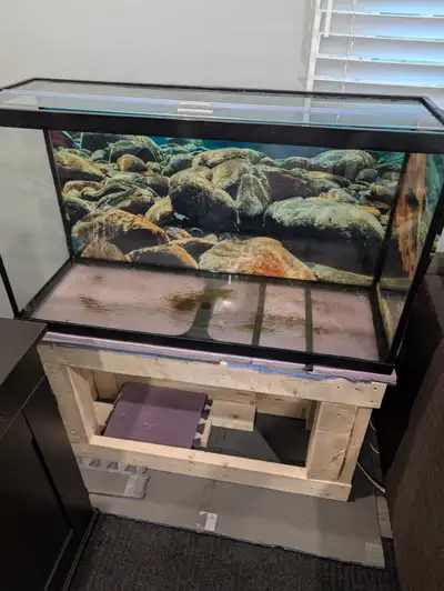Tags arowana pleco cichlid eheim fluval piranha datnoid discus aquarium fish tank Oscar angelfish ca...