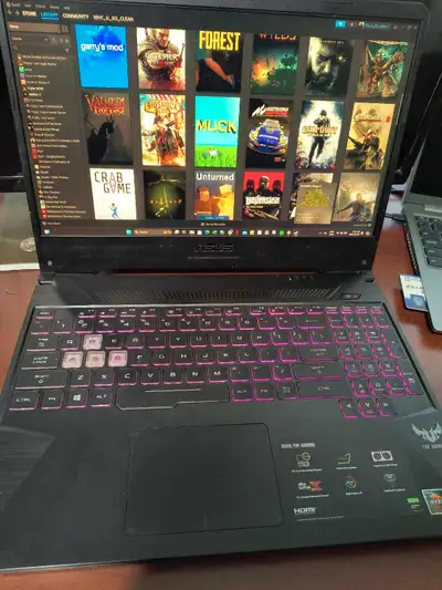 ASUS TUF gaming FX505DT Laptop (500gb & 16gb ram)