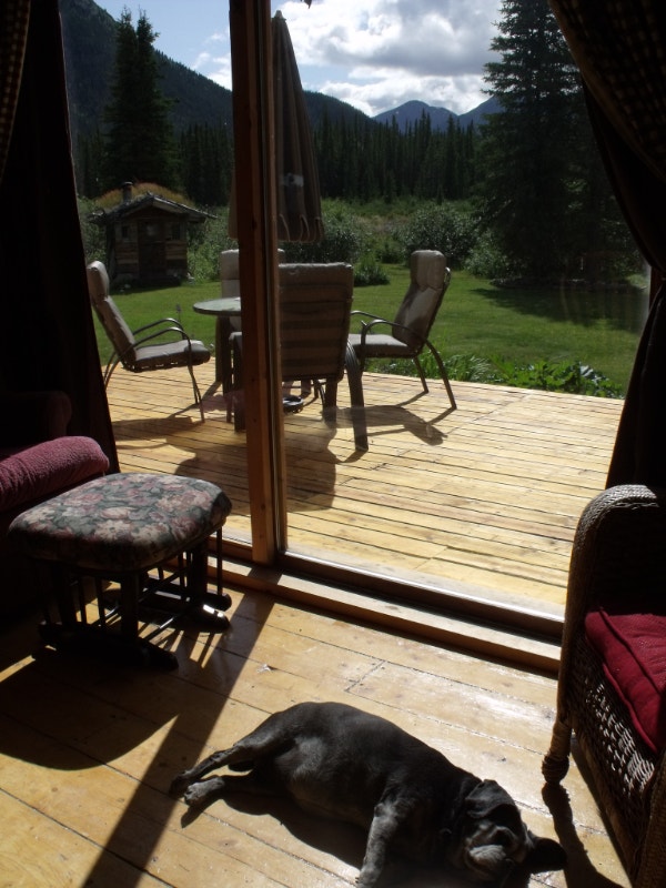 Country house for rent Long Term Rentals Whitehorse Kijiji