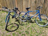 Adulte bikes 