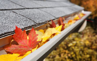 Eavestrough / Gutter Cleaning - Insured Professional