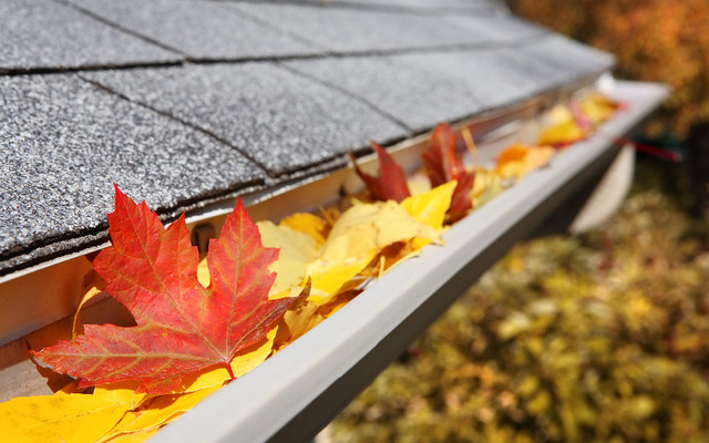 Eavestrough / Gutter Cleaning - Insured Professional in Cleaners & Cleaning in Hamilton