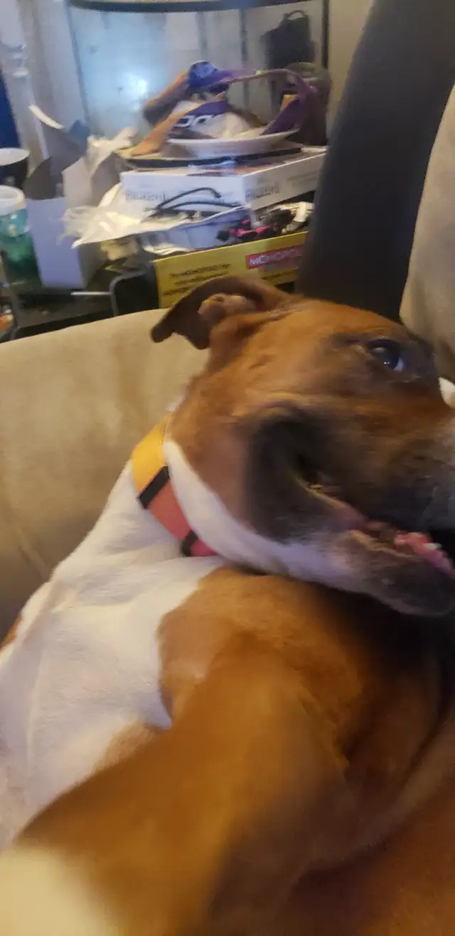 Injustice65669455852289124