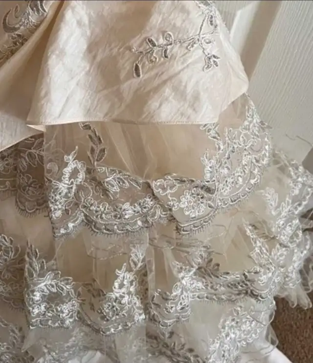 La Sposa Wedding dress in Wedding in Mississauga / Peel Region - Image 7