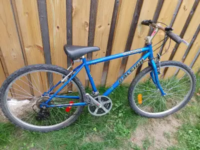Raleigh Tarantula bicycle (17" frame)