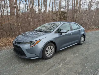 The car runs great and has been well maintained. New oil change, no rust, MVI good until February 20...
