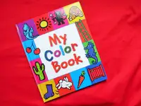 MY COLOR BOOK… Questions, Games and Picture Puzzles