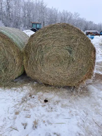 Grass hay round bales, View more