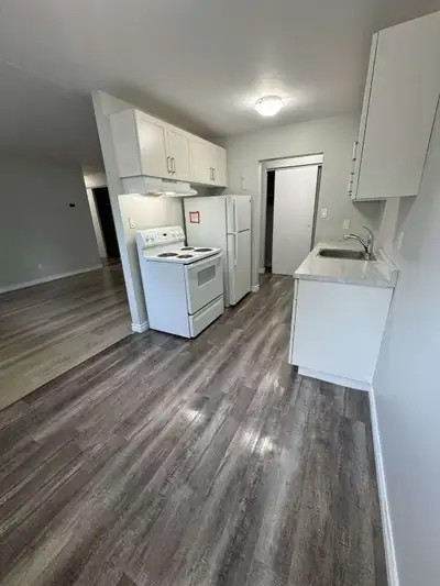 brand new renovated 2 bedroom apartment 250 grand place Fergus