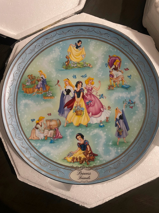 Bradford Exchange Princess Friends Once Upon a Dream plate in Arts & Collectibles in Penticton