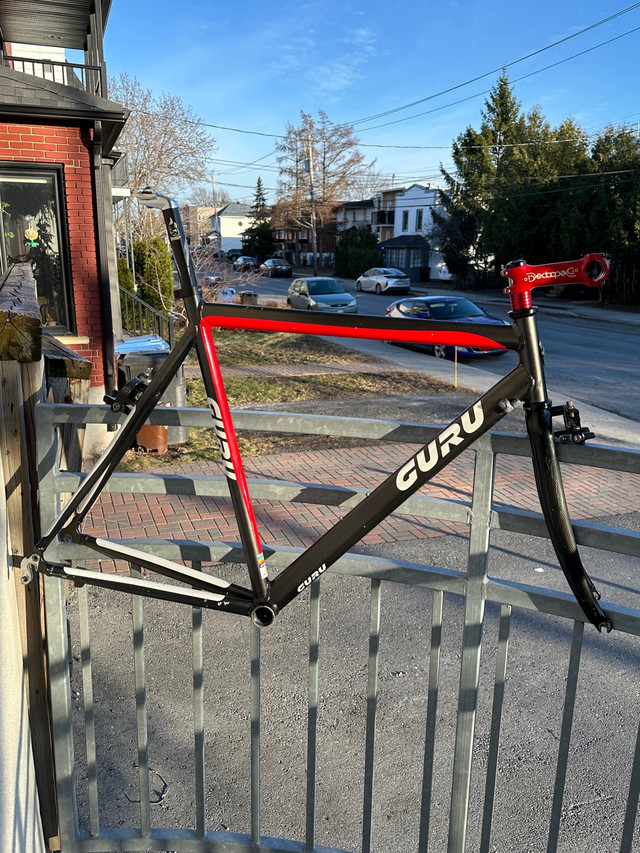 GURU Flite frameset ⚡️handmade in Canada (trade fixed✅)  dans De route  à Longueuil/Rive Sud - Image 2