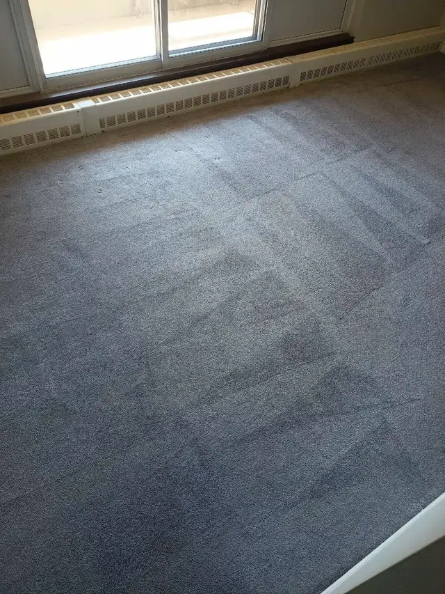 Steam Cleaning: Sofa, Couch, Cushion, Mattress63782602496259122