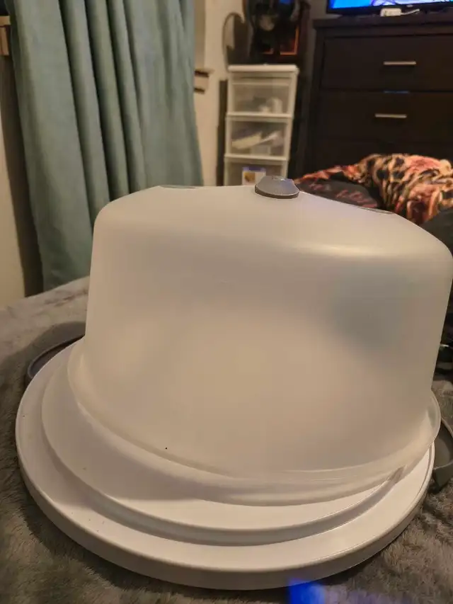 Cake carrier602316979695134721
