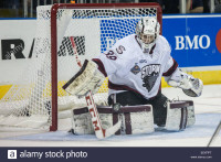 Guelph Storm Game Worn Memorial Cup Patched Goalie Jerseys