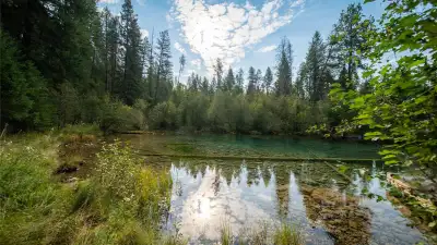 Executive size lakefront property Rare Waterfront Lots on Rosen Lake Inlet – Jaffray, BC. 5.5 ACRES...