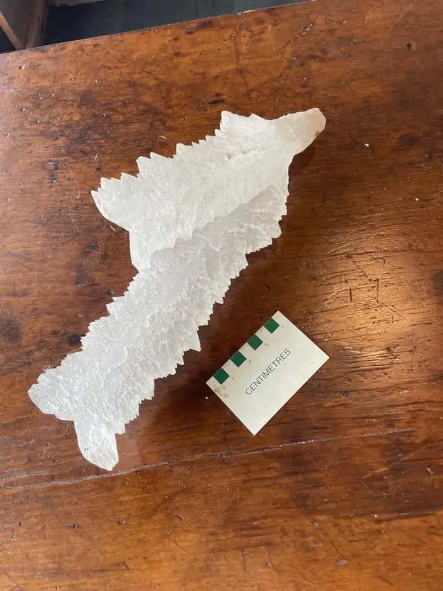 large fishtail selenite mineral specimen crystal in Hobbies & Crafts in Owen Sound - Image 2