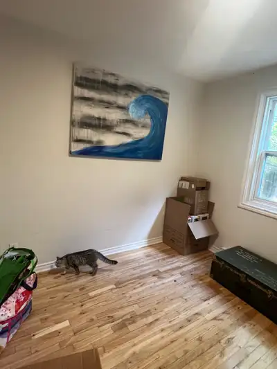 LONGUEUIL - À 10 MINUTES DU MÉTRO ! 1 chambre dans un 5 1/2. 800$ par mois tout inclus ‍⬛‍⬛ POUR UNE...