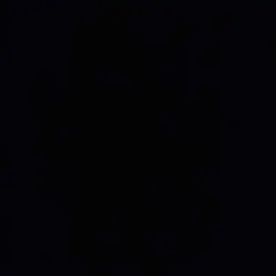 looking for a kitten, View more