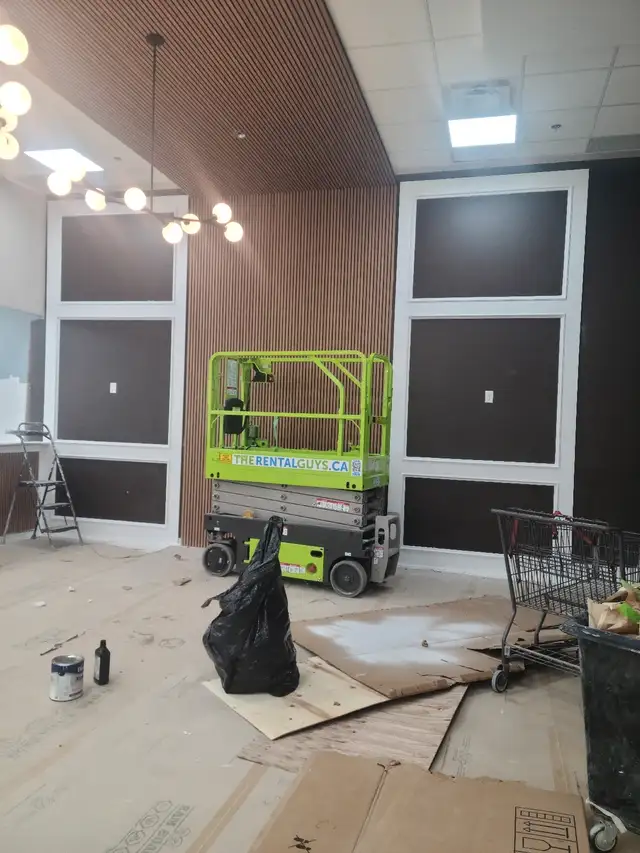 Professional and affordable painter62863725581825123