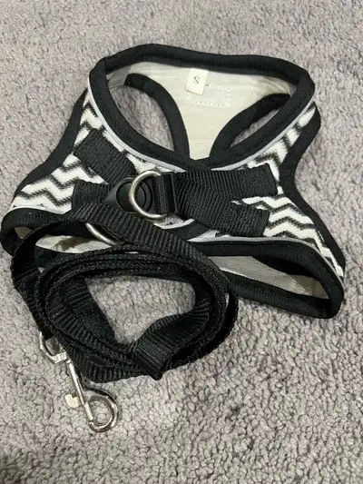 Dog harness and leash, View more