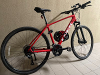 Trek Dual Sport 2 size LG Hybrid bicycle 