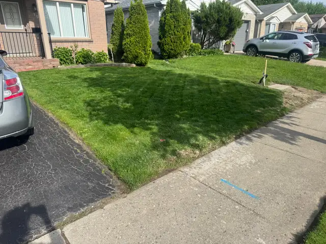 Grass Cutting529384748247296006