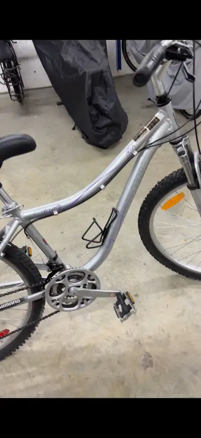 Infinity female mountain bike, View more
