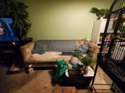 Items needing pick-up / junk removal required, View more