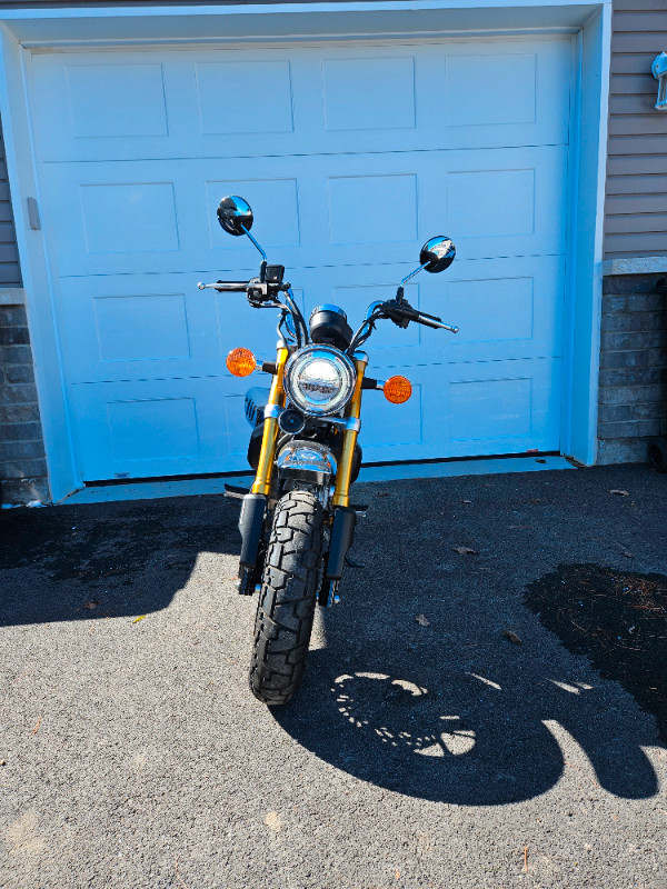 Honda Monkey 125 dans Routières  à Ouest de l’Île - Image 4