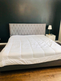 King Bed Frame with Mattress