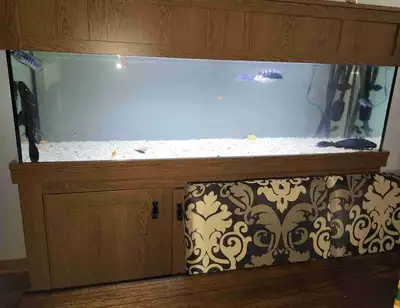 I rescue any type of fish, View more