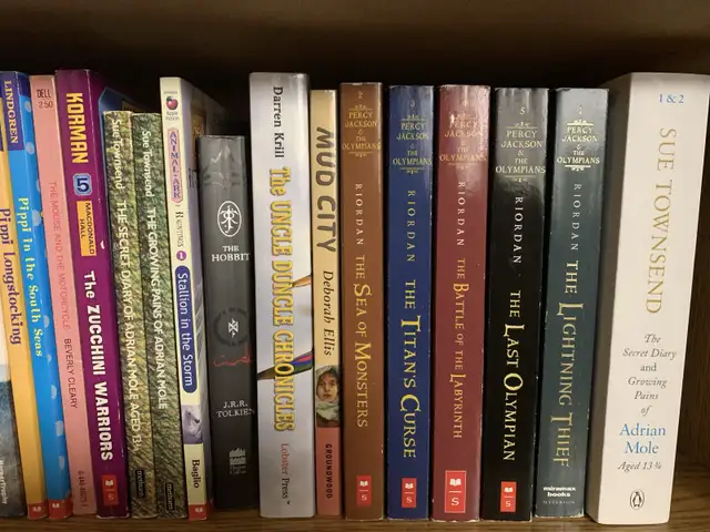 Children's Novels and Chapter Books, Over 100! in Children & Young Adult in Kingston - Image 4