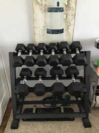  Dumbbell set with rack  