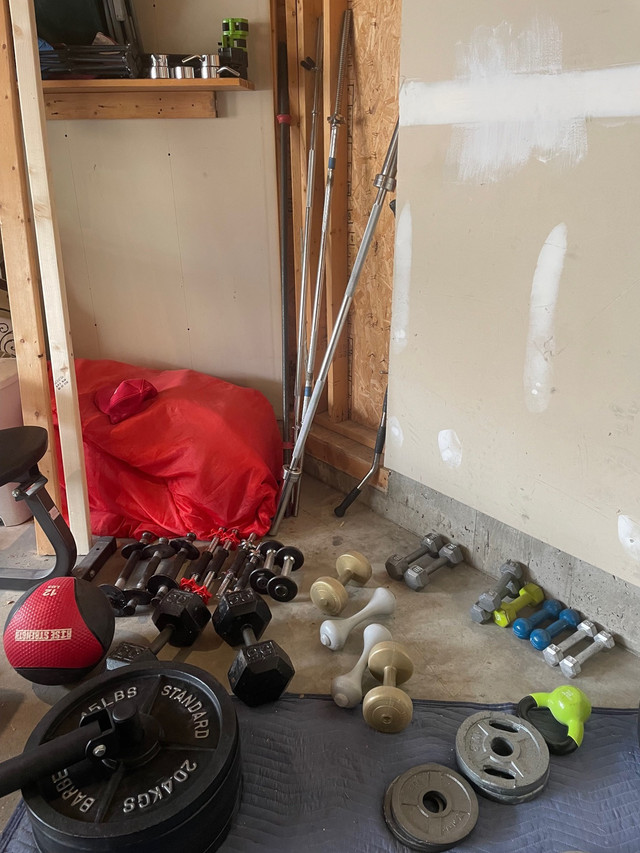 Dumbbells, weight plates, bars, kettles, racks, gym accessories