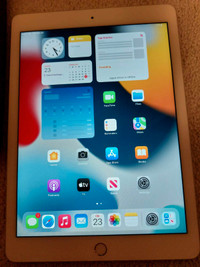 iPad Air 2 + case