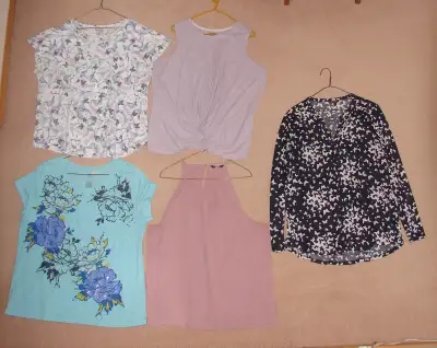 Ladies Tops - sz 1X, 2X, View more