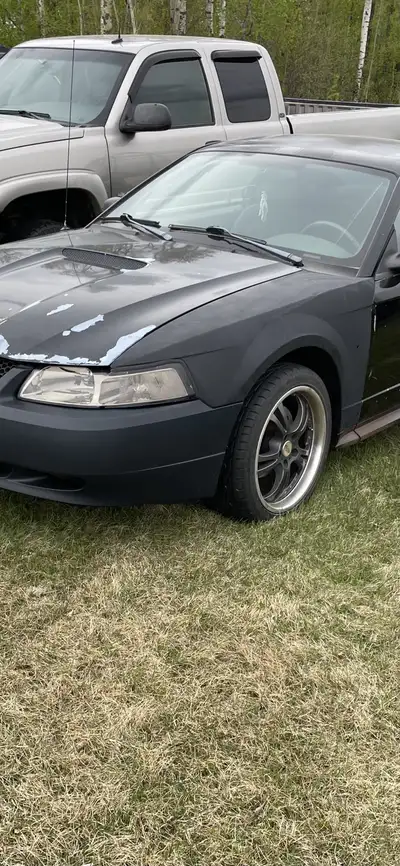 2002 mustang V6, 5 speed manual, Good running vehicle, new aftermarket headlights, left and right fr...