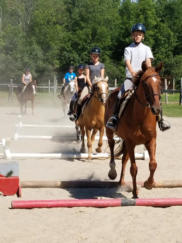 Super Fun Horseback Riding Camp Aug 5 - 9 Booking Now! in Events in Ottawa - Image 2