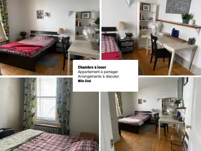Chambre à louer dans un vaste appartement du Mile end. Situé une dizaine de minutes des stations Lau...
