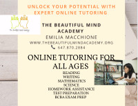 The Beautiful Mind Academy | Reading with Confidence Tutoring
