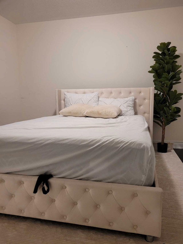 New queen bed frame in the box  in Beds & Mattresses in Oshawa / Durham Region - Image 2
