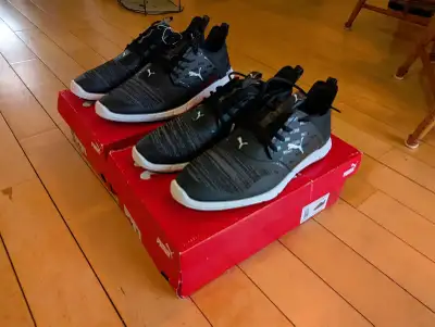 Golf Shoes, Puma Ignite NXT, Men's 8 & 11, BNIB..$55.00, View more