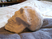 Cement skulls