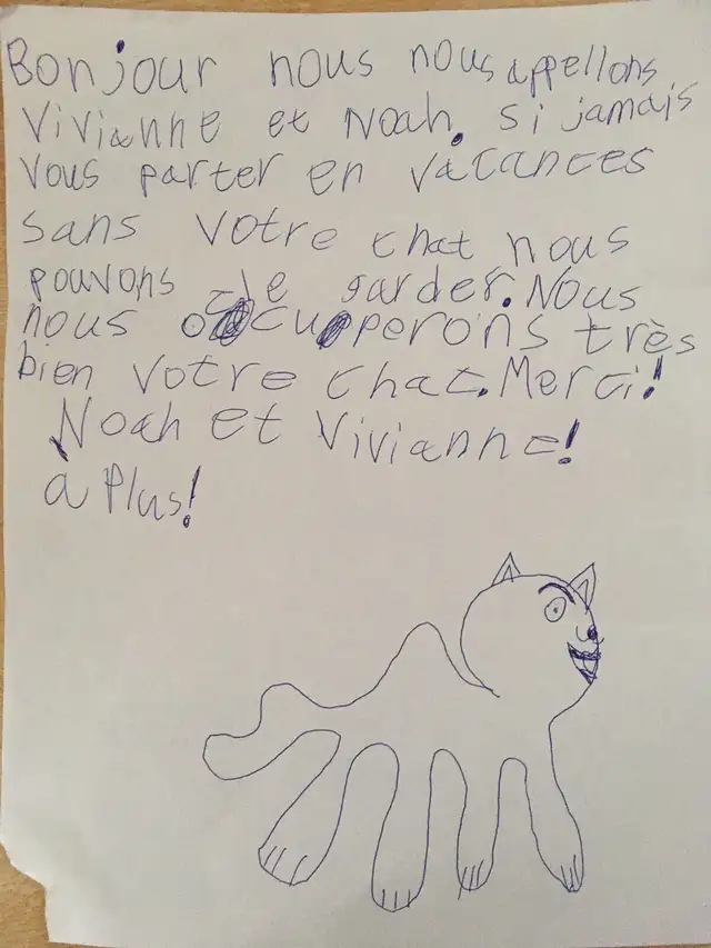 Cat sitters, cat sitting in Animal & Pet Services in Moncton - Image 5