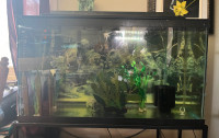 75 Gallon Aquarium