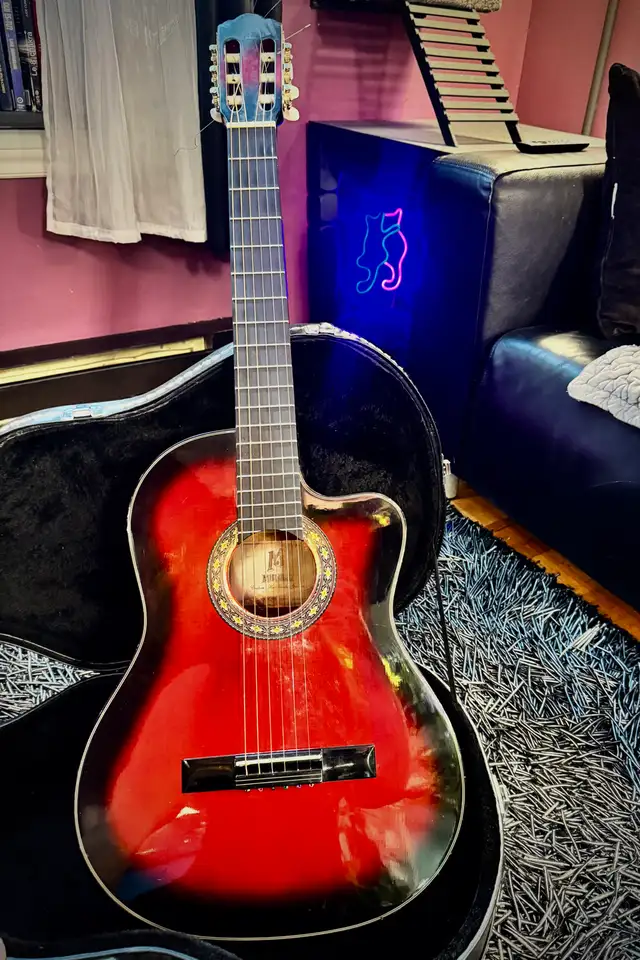 Electro-acoustic guitar with its case562002980819456001