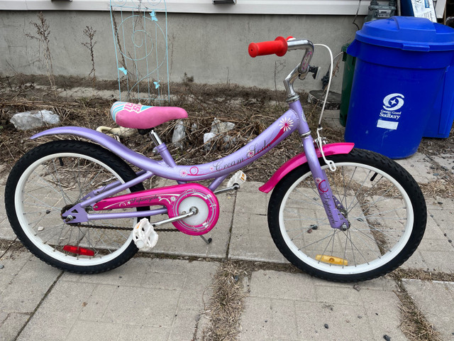 20” girls bicycle.  in Kids in Sudbury