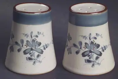 Noritake Pleasure Salt & Pepper Shakers Set Pair, View more