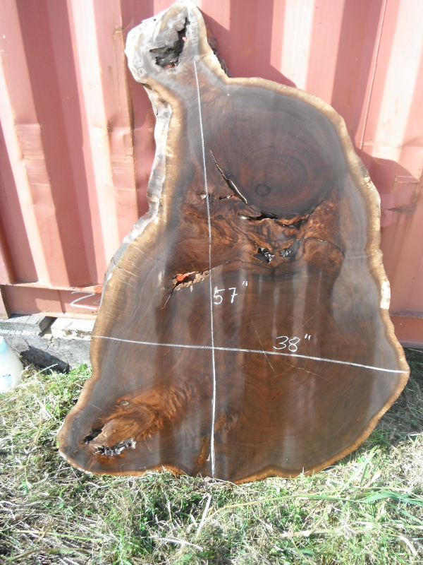 Live edge walnut slabs for table tops in Other in Ottawa - Image 10
