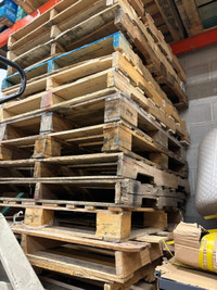 Large amount 48 x 40 Pallets supply/$5/Scarborough